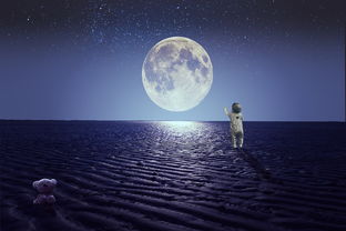 三国文学的璀璨星辰，谁是最佳诠释者？