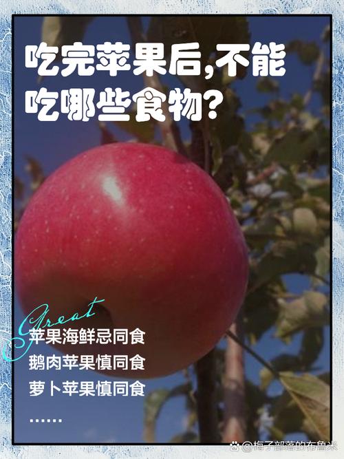 苹果好还是梨好