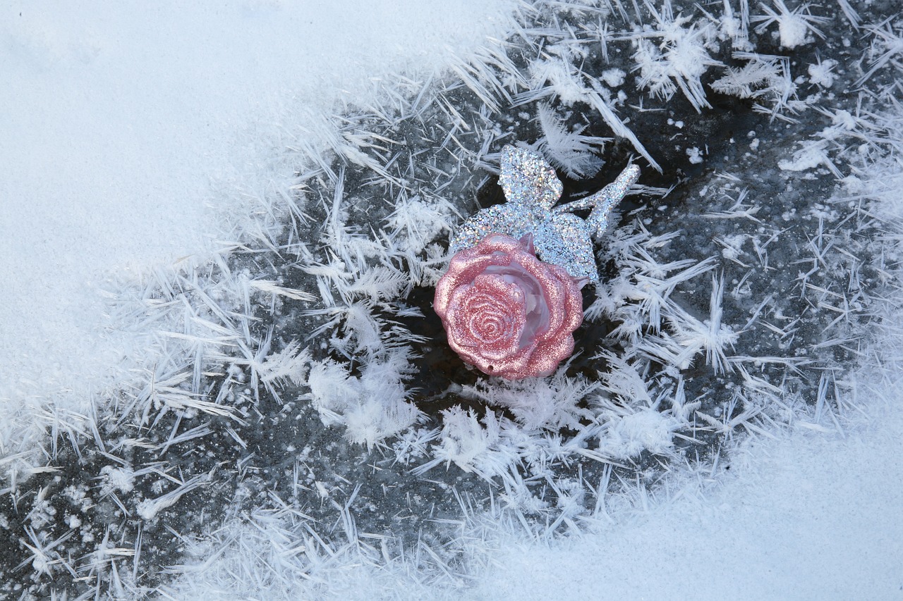 稚子弄冰，诗意文学文化的温柔初雪