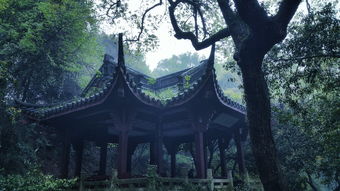 小心AI开始胡说八道，理解与应对AI的错误与偏见