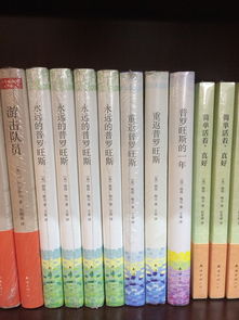 探索中华文字的宝藏，如何免费下载中华字典