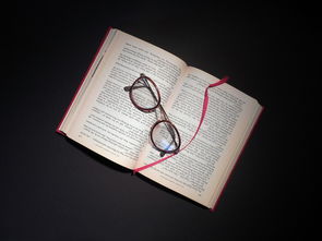 探索文学的奥秘，二年级文学常识题库解析