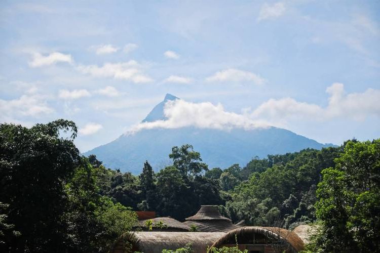 屯昌：海南中部生态屏障下的低感染样本_17928