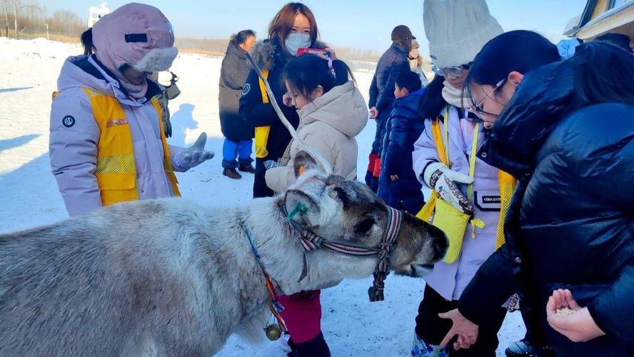 【铁力：林海雪原间的低感染样本与边境防控压力】