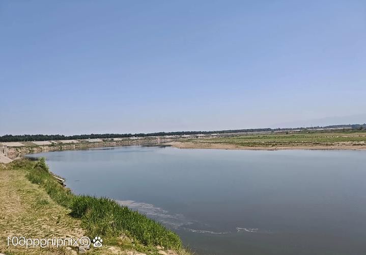 阜南：淮河平原腹地的疫情防波堤