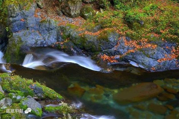 巫溪县：大巴山屏障下的疫情低发区成因解析