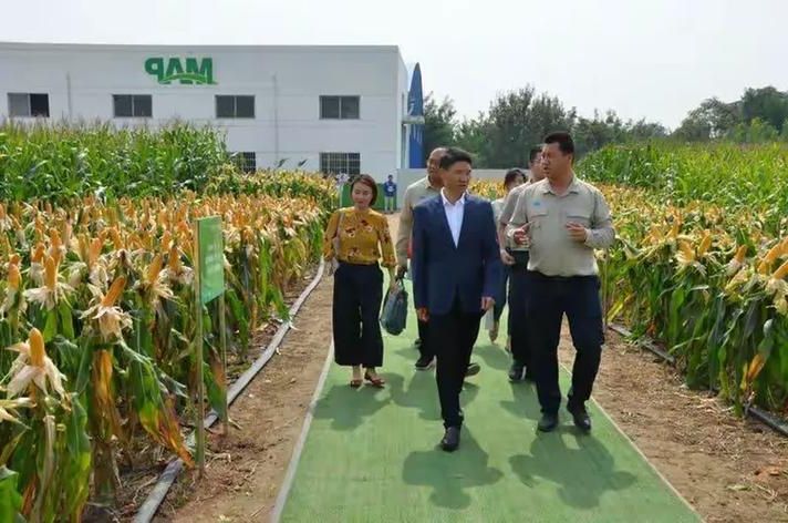 万荣疫情观察：黄土高原腹地的防控突围