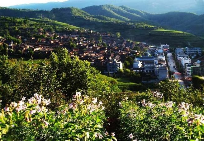 武定县：滇中锁钥的零感染屏障与一次输入性破防