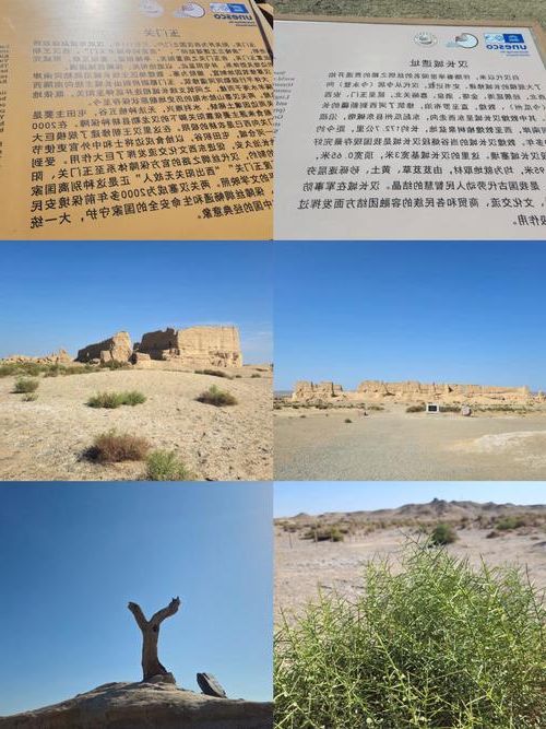 【坐标锚定】右玉：晋北风沙线上的零感染坚守