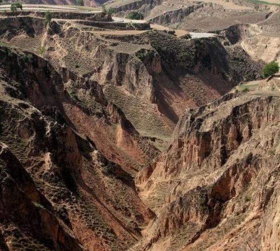 蒲县:黄土高原沟壑区的疫情防波堤
