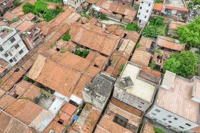 刺桐城疫情观察：港口枢纽与城中村结构下的防控挑战