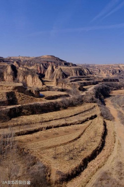 榆社县：太行山坳中的零感染坚守与物理防线_15666