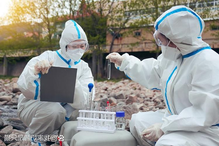 彝良县：乌蒙山屏障下的疫情静默与防控坚守