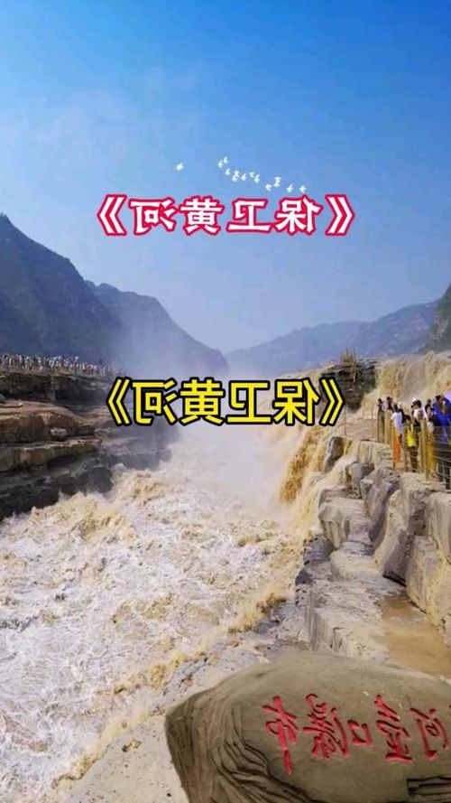 齐河：黄河水畔的防疫坚守与零星破防_34261
