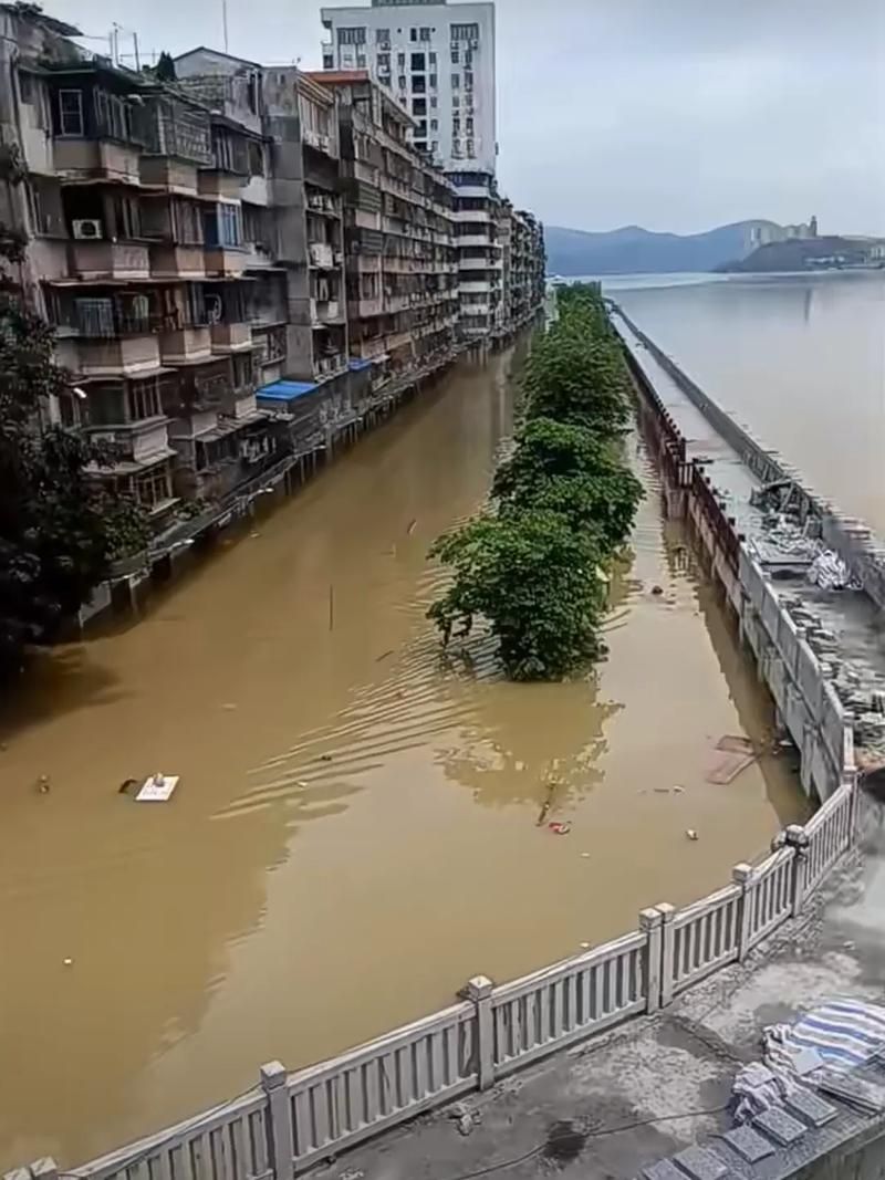 武义县：温泉小城的疫情防波堤