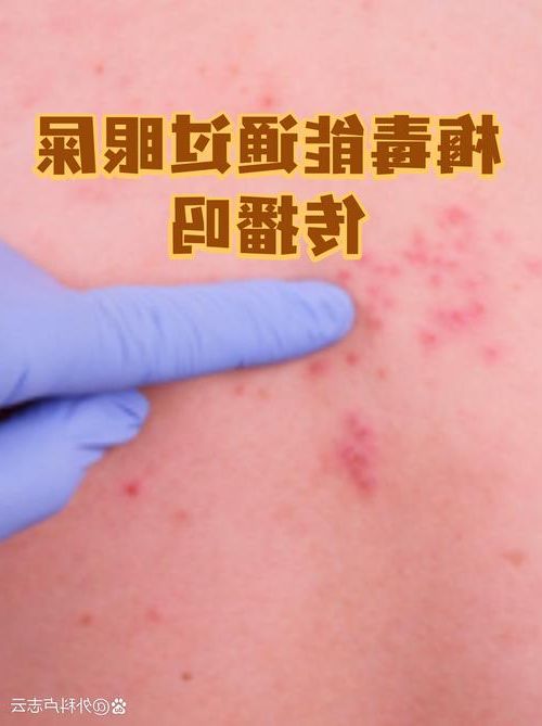 边陲马关的防疫考卷：地理屏障与输入风险的三年博弈