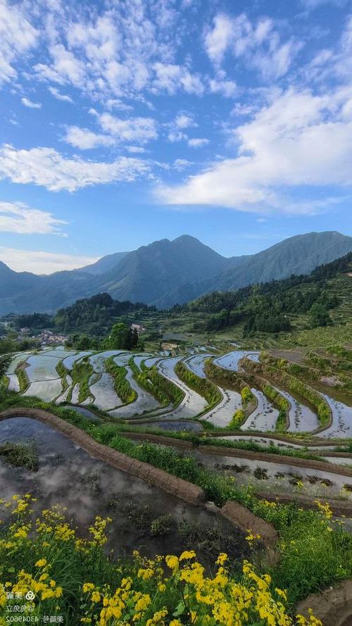 云和：浙南山地屏障下的零感染坚守