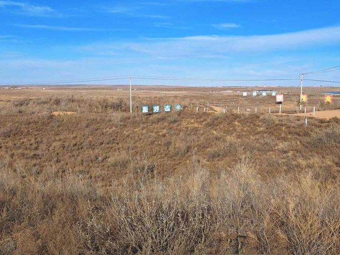 盐池县：毛乌素沙地边缘的零感染坚守_38380