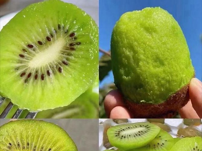 【周至猕猴桃之乡的防疫平衡：地理屏障下的精准防控实践】