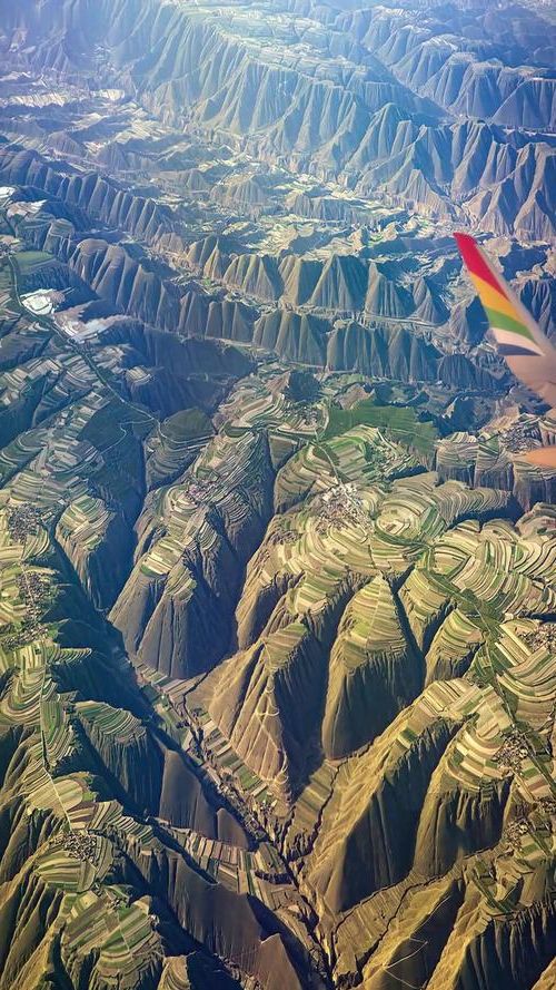 宝塔区：黄土高原沟壑地形下的疫情破防样本