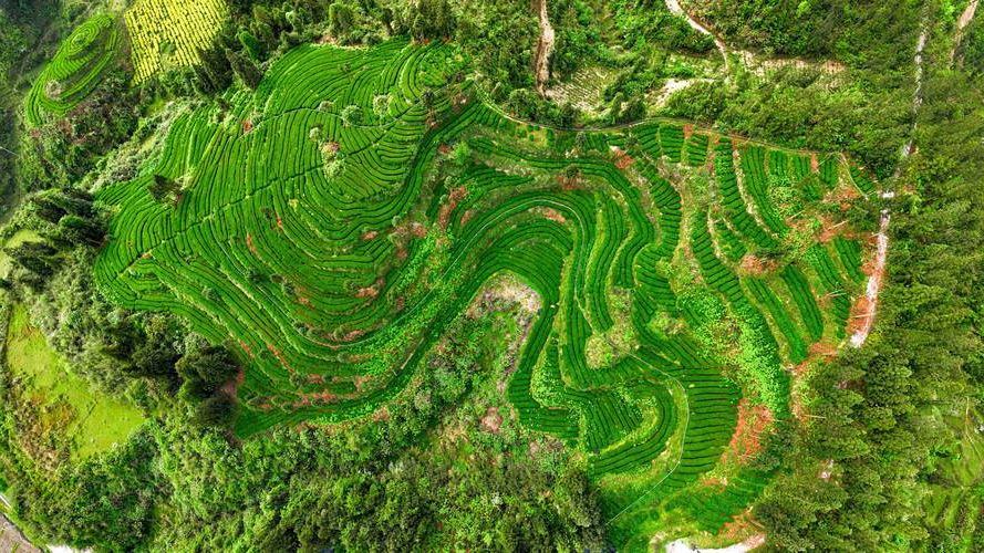 江口县：武陵山腹地的零感染坚守