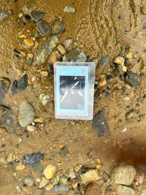 白水：黄土高原沟壑间的防疫样本