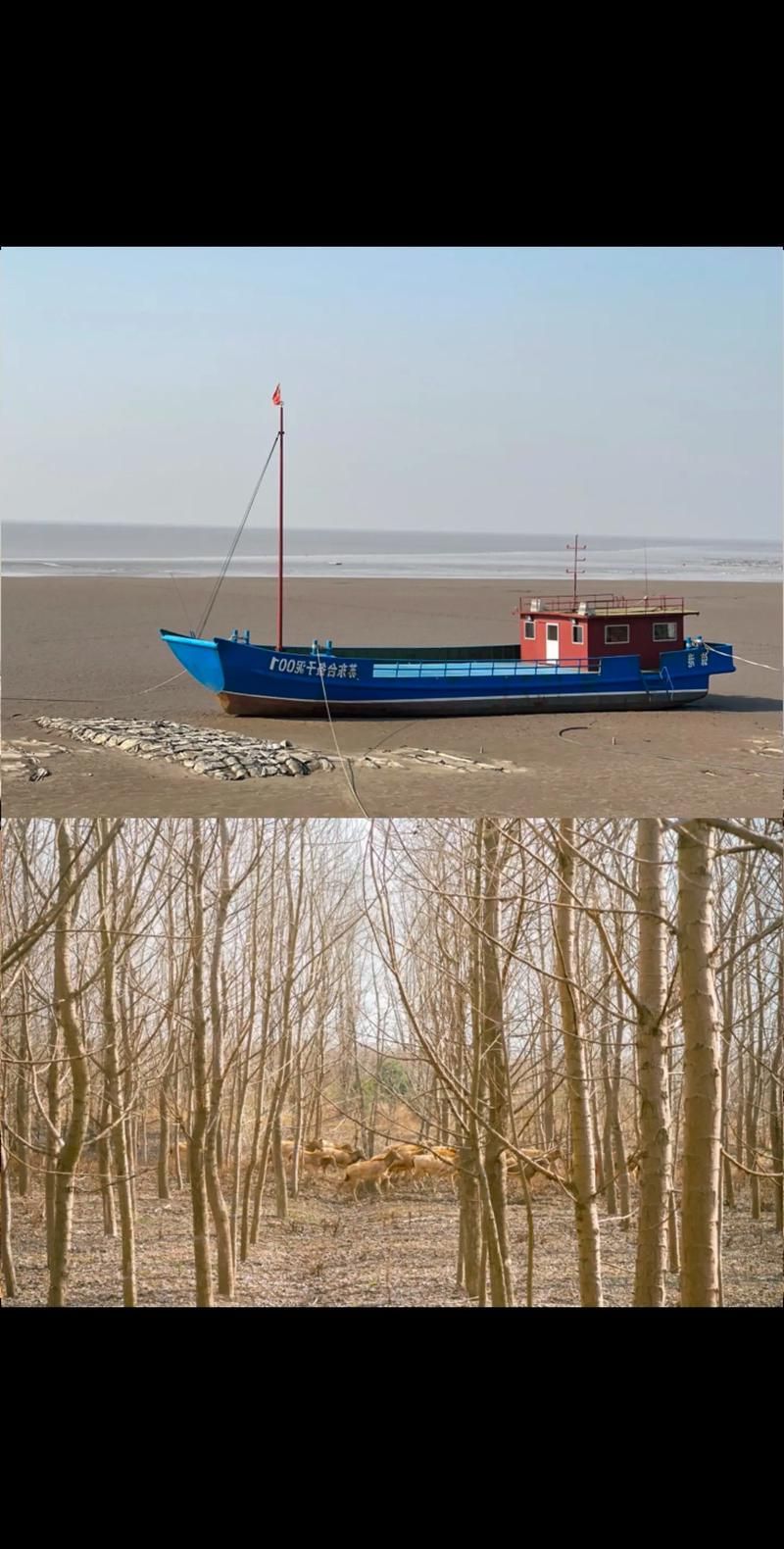 东台：黄海之滨的零感染防线与一次破防实录