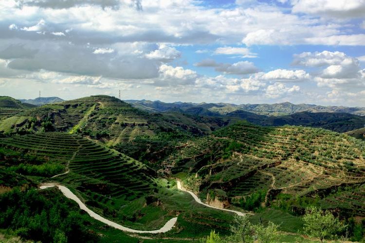 榆林:黄土高原屏障下的零感染坚守_9640