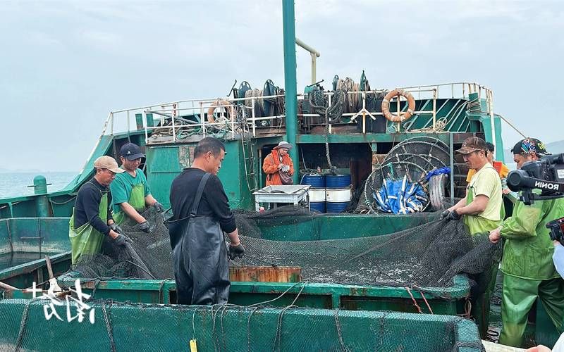 【汕头海岸线屏障下的疫情破防:港口枢纽如何成为病毒突破口?】