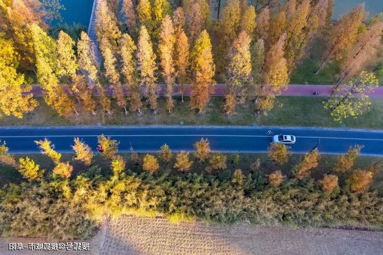 皖北平原上的防疫鏖战：阜阳城区病例为何持续波动？