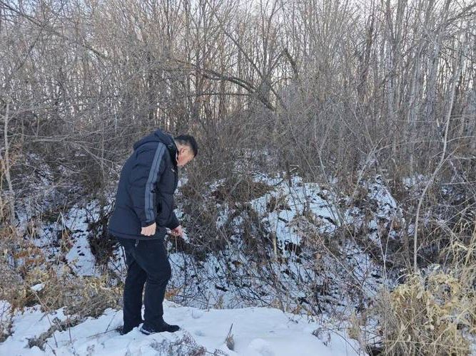 兴安岭屏障下的零感染坚守:高寒林区的防疫地理逻辑