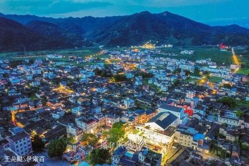 大埔疫情透视：沿海交通枢纽下的社区传播链