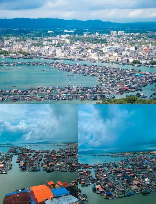 【海南陵水：热带滨海旅游县城的疫情防线与破防时刻】