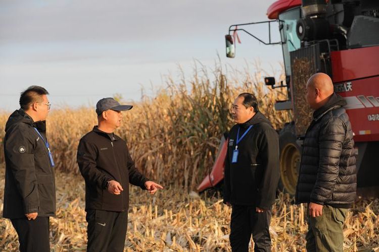 杜尔伯特蒙古族自治县新增1例无症状感染者  杜尔伯特蒙古族自治县疫情防控最新通报