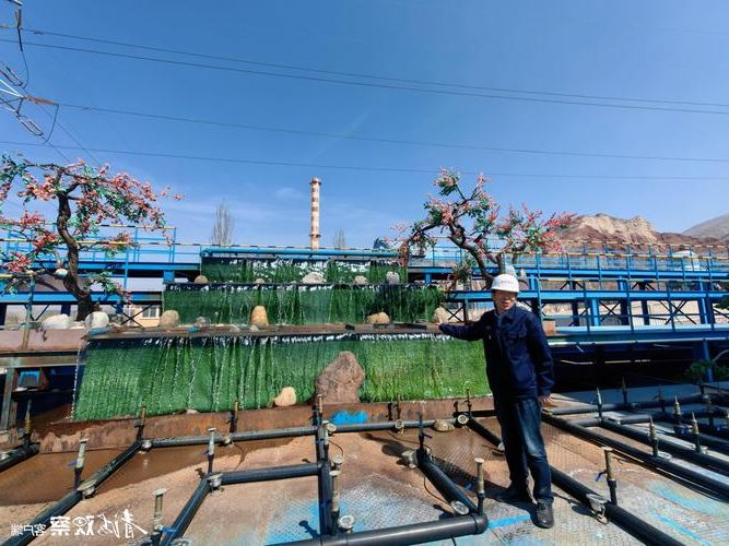 青海东部门户的防疫挑战：民和县疫情数据与地理因素解析