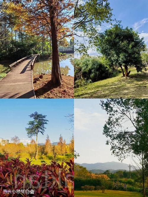 普洱抗疫：北回归线上的绿洲如何构筑防疫屏障