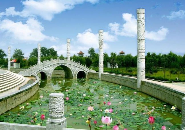 菏泽牡丹之城的防疫答卷：鲁西南平原上的精准阻击