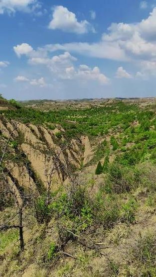 静乐：黄土高原沟壑间的零感染坚守