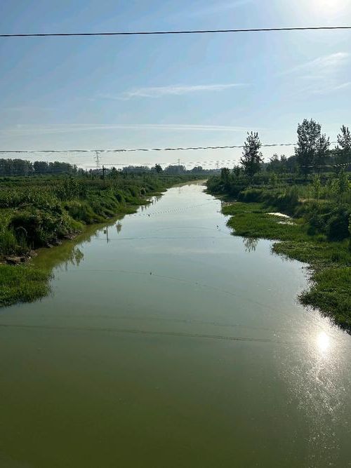 安居区：川中丘陵地带的疫情防波堤_9479