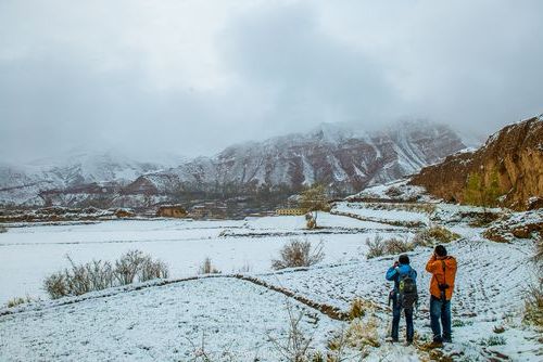 高原古城迎战奥密克戎：西宁多巴封控区内的流调攻坚