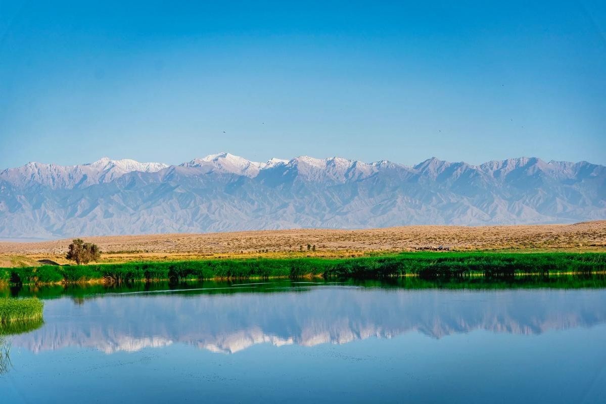 哈密绿洲的防疫坚守：戈壁屏障下的零感染逻辑