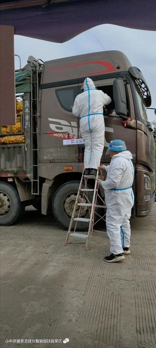 南阳市区疫情：伏牛山屏障下的防控挑战与应对