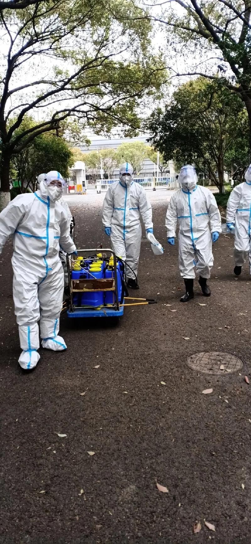 青田侨乡的防疫挑战：瓯江畔的境外输入阻击战