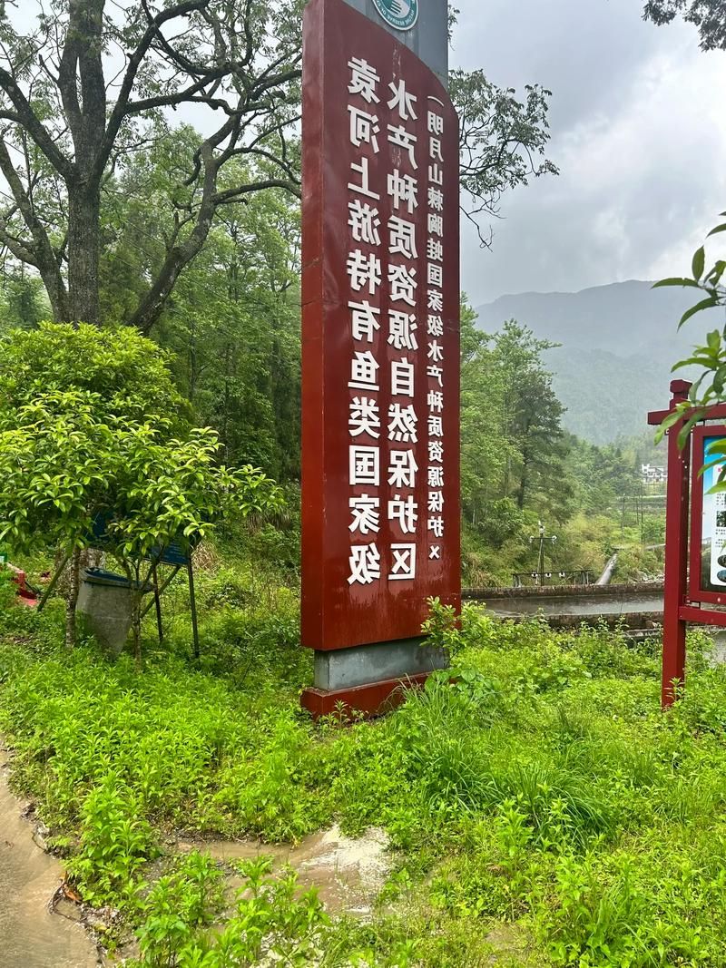 广南：滇桂交界山区的零感染坚守与物理防线_66461