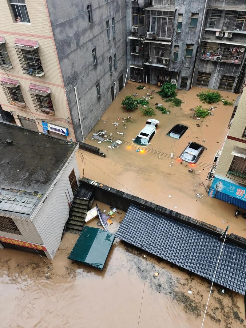 新会区：珠三角水网下的疫情破防与围堵