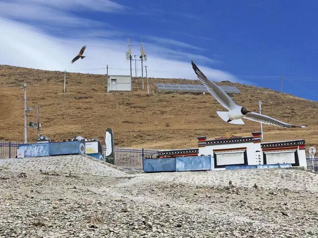 【松潘高原屏障：零感染愿景下的物理防线】