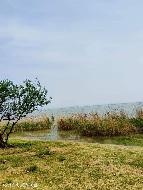 泰兴：长江下游港城的疫情防波堤