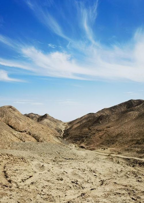 金塔绿洲的静默屏障：戈壁腹地如何构筑零感染防线