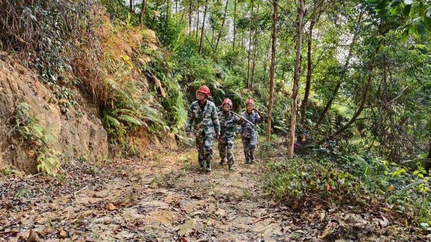 龙安：山区屏障下的零感染坚守