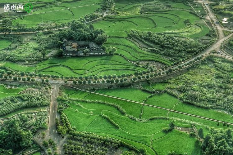 达州：川东门户的疫情防线与地理屏障解析